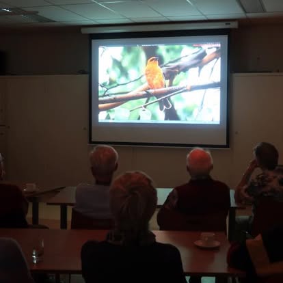 Presentaties/lezingen