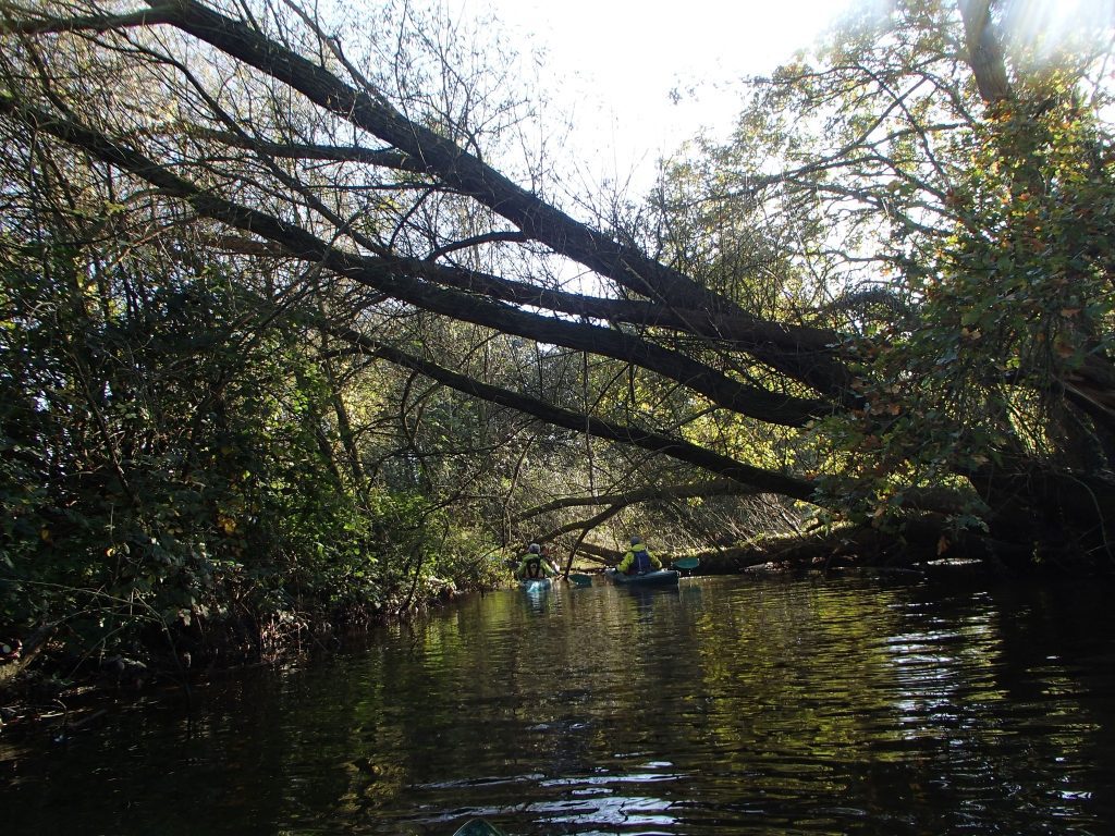 presentaties en lezingen