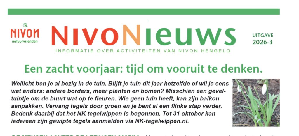 NivoNieuws 2026-3