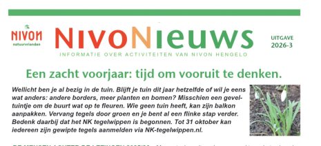 NivoNieuws 2026-3