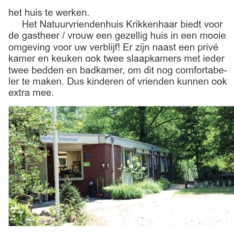 NivoNieuws 2026-6